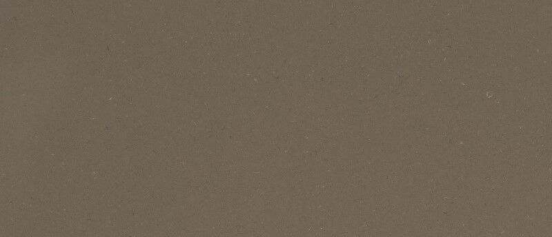 Fossil Brown